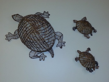 Little Fish Dental Turtle Basket Hangings - Rocklin, CA.jpg