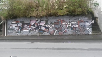 Love Birds - Wellington, Wellington.jpg