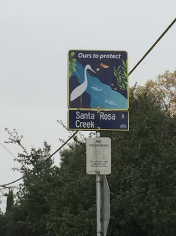 Protector - Santa Rosa, CA.jpg