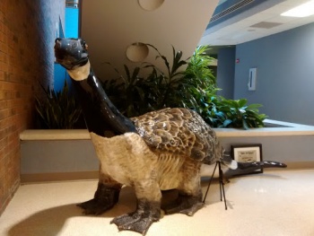 Dinogoose - Elgin, IL.jpg