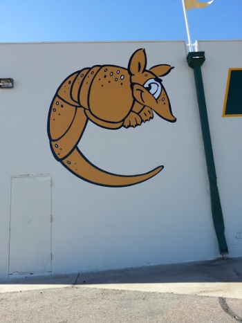 Brass Armadillo - Phoenix, AZ.jpg