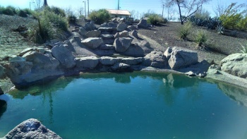 Waterfall - Chandler, AZ.jpg
