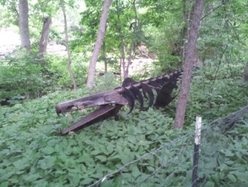 Hidden Alligator - Boulder, CO.jpg
