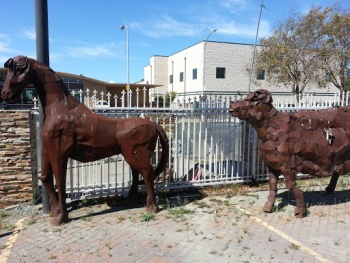 Iron Livestock - Richmond, CA.jpg