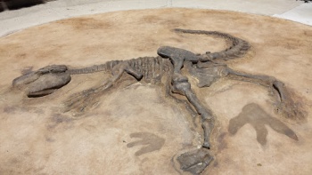 Papadopolis Remnants - San Jose, CA.jpg