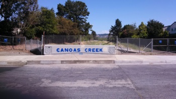 Blue Canoas Creek - San Jose, CA.jpg