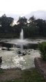 Thumbnail for version as of 01:58, 2 August 2017
