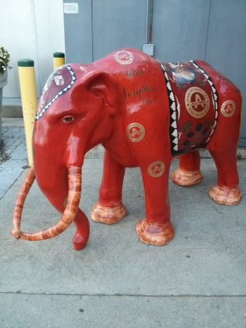 ACME Mastodon - Fort Wayne, IN.jpg