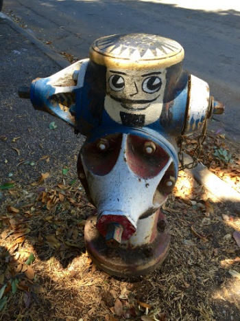 Mezes Ave Painted Hydrant - Belmont, CA.jpg