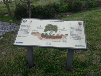 Storm Water Biofiltration Garden Seven - Norfolk, VA.jpg