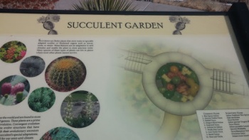 Forsberg - Succulent Garden - Lakewood, CO.jpg