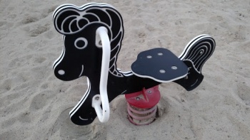 Horse - Sunnyvale, CA.jpg