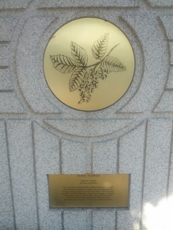 Oregon State Flower - Lloyd District - Portland, OR.jpg