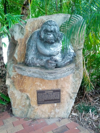 George The Orangutan - Adelaide, SA.jpg