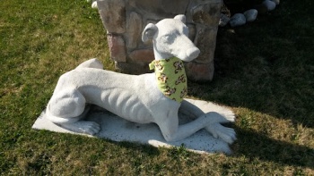 Serenity Animal Hospital - Sterling Heights, MI.jpg