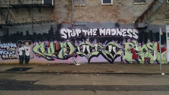 Stop The Madness Mural - Cincinnati, OH.jpg