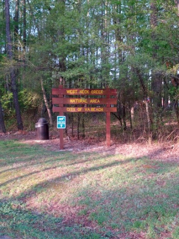 West Neck Creek Natural Area - Virginia Beach, VA.jpg