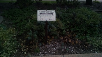 California Shade Garden - Costa Mesa, CA.jpg