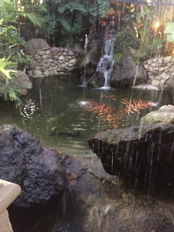 Coco Palm Waterfall - Pomona, CA.jpg