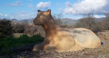 Cougar Overlook - Salinas, CA.jpg