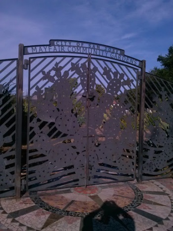 Mayfair Community Gardens - San Jose, CA.jpg