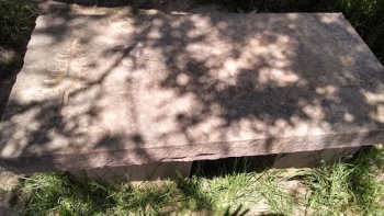 Marie Hayes McCarthy Bench - Fort Collins, CO.jpg