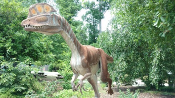 Animal Discovery Dinosaur - Greensboro, NC.jpg