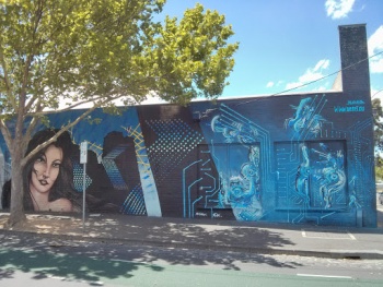 Beautiful Flowing Hair Mural - North Melbourne, VIC.jpg
