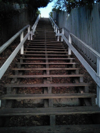 Santa Monica Stairs (wooden) - Santa Monica, CA.jpg