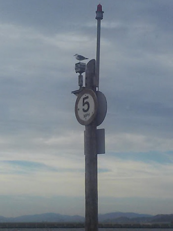 From 5 To 5 - Berkeley, CA.jpg