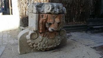 Fierce Lion - Winnipeg, MB.jpg
