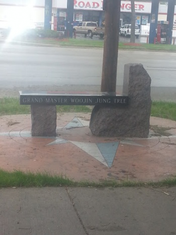 Grand Master Woojin Jung Tree - Cedar Rapids, IA.jpg