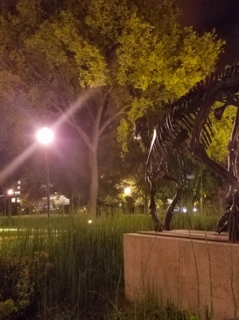 Edmontosaurus - Knoxville, TN.jpg