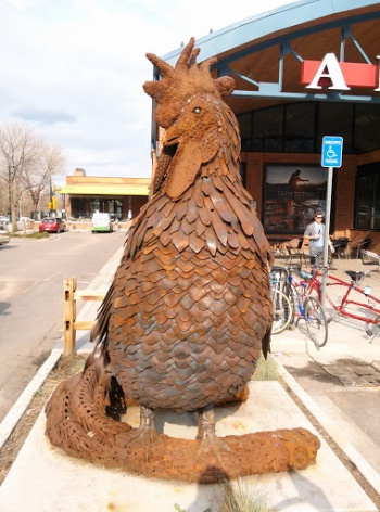 Alphie - Boulder, CO.jpg