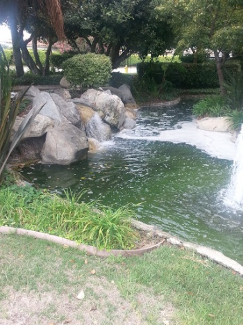Madison Park Lagoon - Torrance, CA.jpg