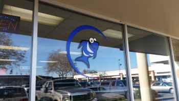 Tropical Fish Mural At Atk Aquatics - Hillsboro, OR.jpg