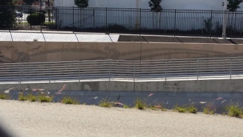 Waterway Art - Escondido, CA.jpg