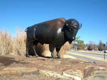 Buffalo Statue on Chautauqua - Norman, OK.jpg