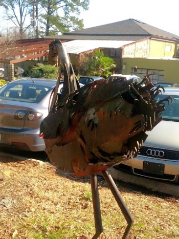 Emu at Guglhupf - Durham, NC.jpg
