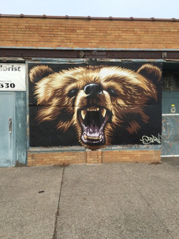 Grizzly Bear - Rochester, NY.jpg