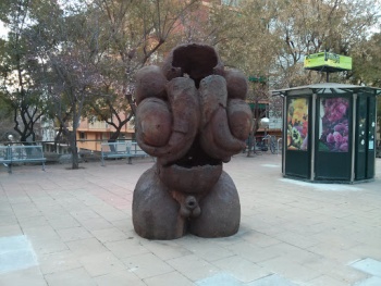 Dildolus Titot - Barcelona, CT.jpg