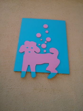 Bubbly Poodle Art - Cambridge, MA.jpg