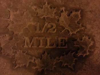 Park Half Mile Art - Fontana, CA.jpg