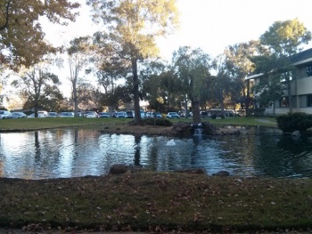 Waters Park Island - San Mateo, CA.jpg