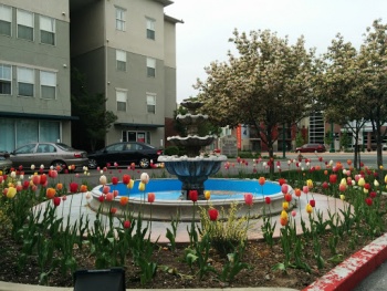 Citifront Fountain - Salt Lake City, UT.jpg