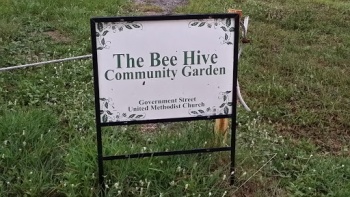 The Bee Hive - Mobile, AL.jpg