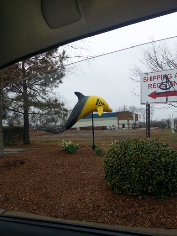 Agio Dolphin - Virginia Beach, VA.jpg