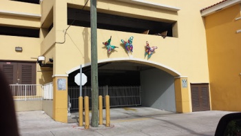 5 Butterflies - Miami, FL.jpg