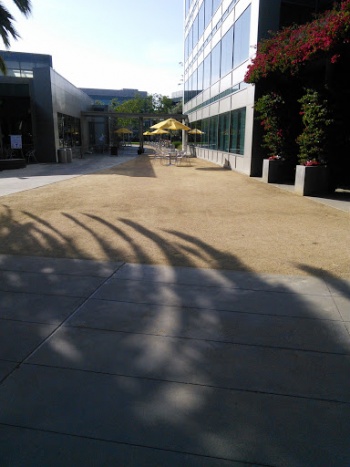 15 Head Fountain - Mountain View, CA.jpg