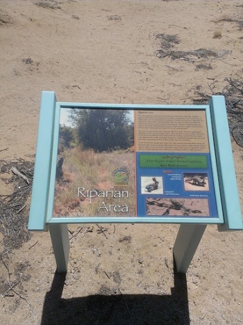 Riparian Area - Lancaster, CA.jpg